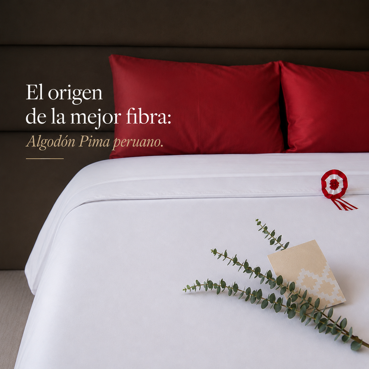 ¿Por qué el mejor algodón Pima nace en el Perú?
