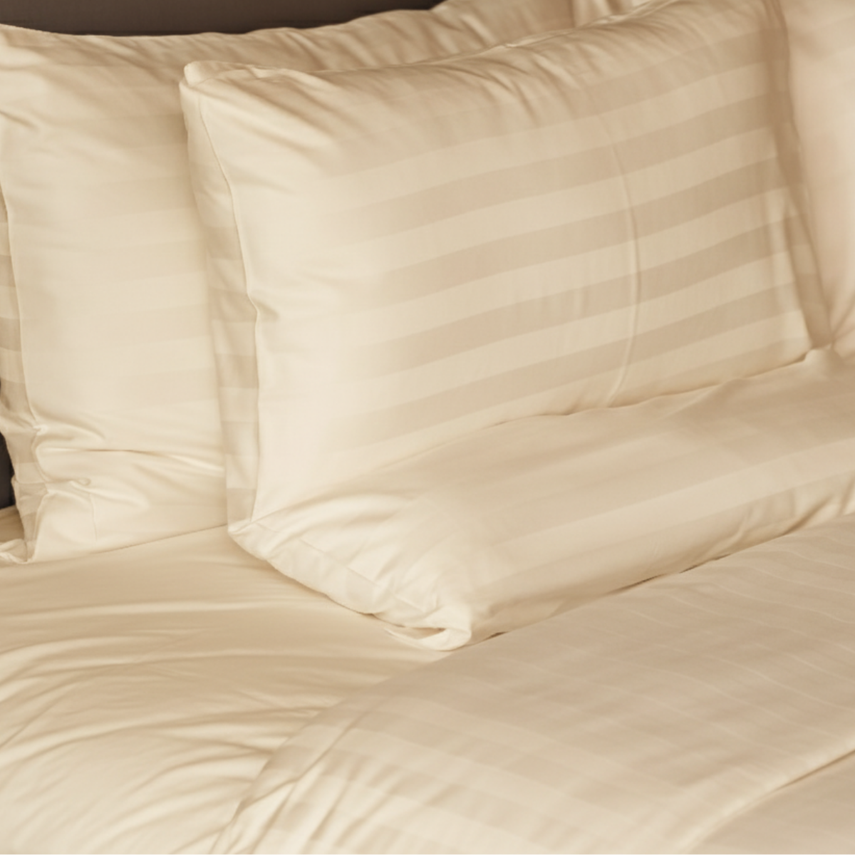Fundas de Almohada 400 Hilos Satén Listado 100% Algodón Pima | Anis