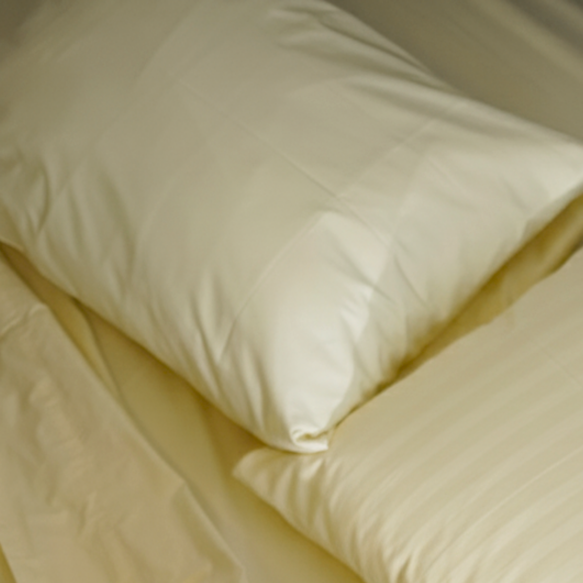 Fundas de Almohada 400 Hilos Satén 100% Algodón Pima | Crema Colección I.U.