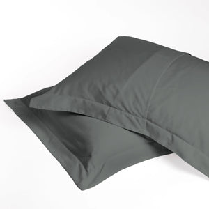 Set de Fundas Shams 400 Hilos Satén 100% Algodón Pima | Sombra